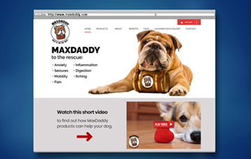 Dog Treats Company Responsive Website